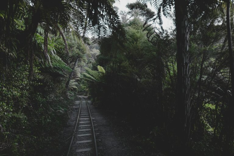 yoal-desurmont-rz9IaR4t31c-unsplash